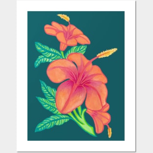 Orange Hibiscus Flowers Posters and Art